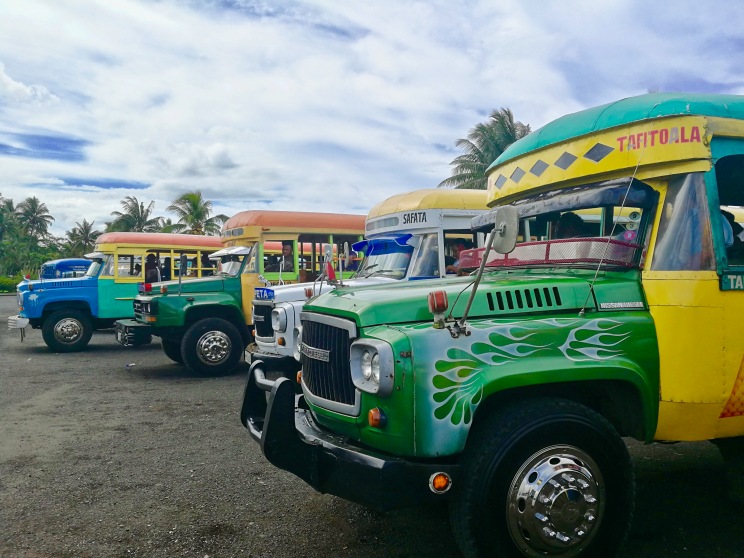Samoa buses