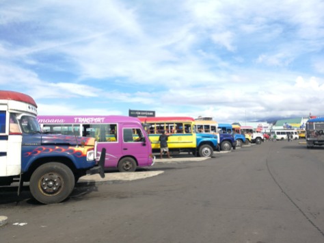 Samoa buses